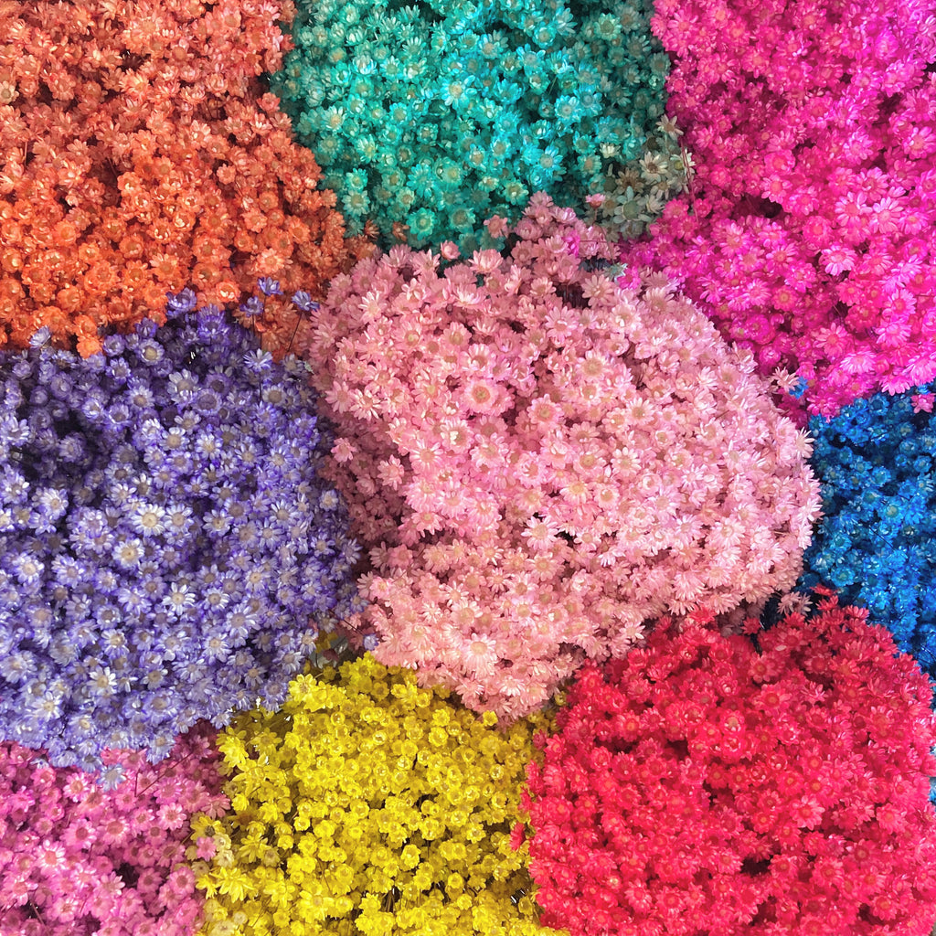 Adelaide Customers : Shop instore !