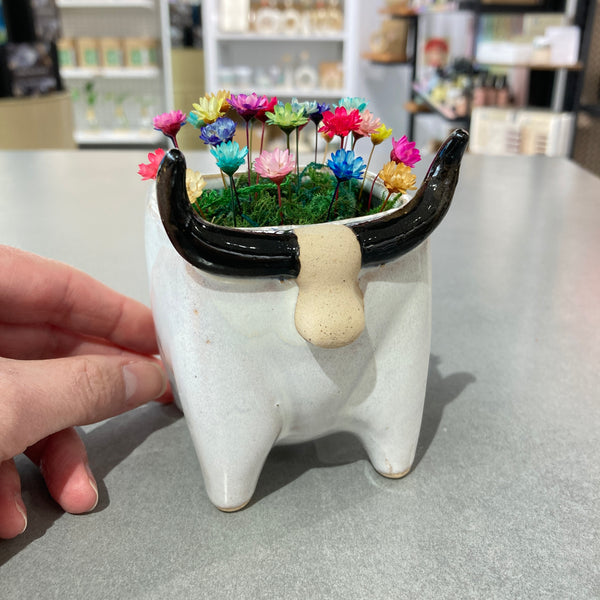 Bull