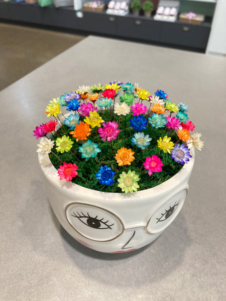 Blooming Betty