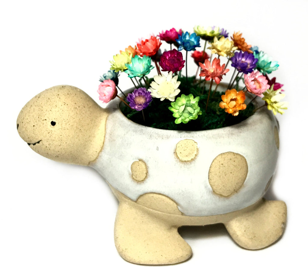 Small Turtle - imperfect with Little Blooms