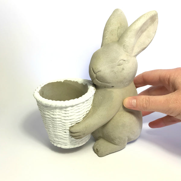 Front Carrying Bunny