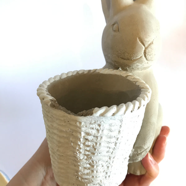 Front Carrying Bunny