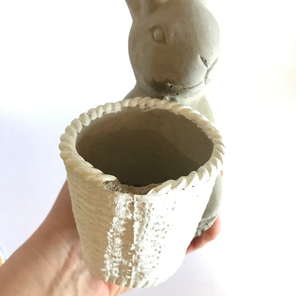 Front Carrying Bunny