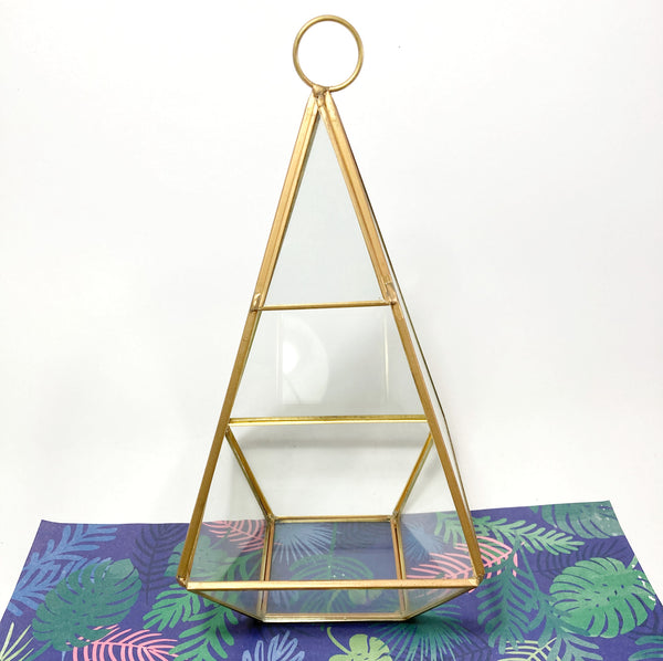 Imperfect Golden Terrarium