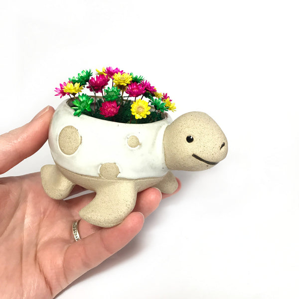 White Turtle