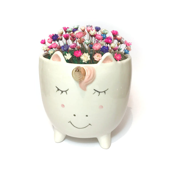 Large Unicorn - discontinued