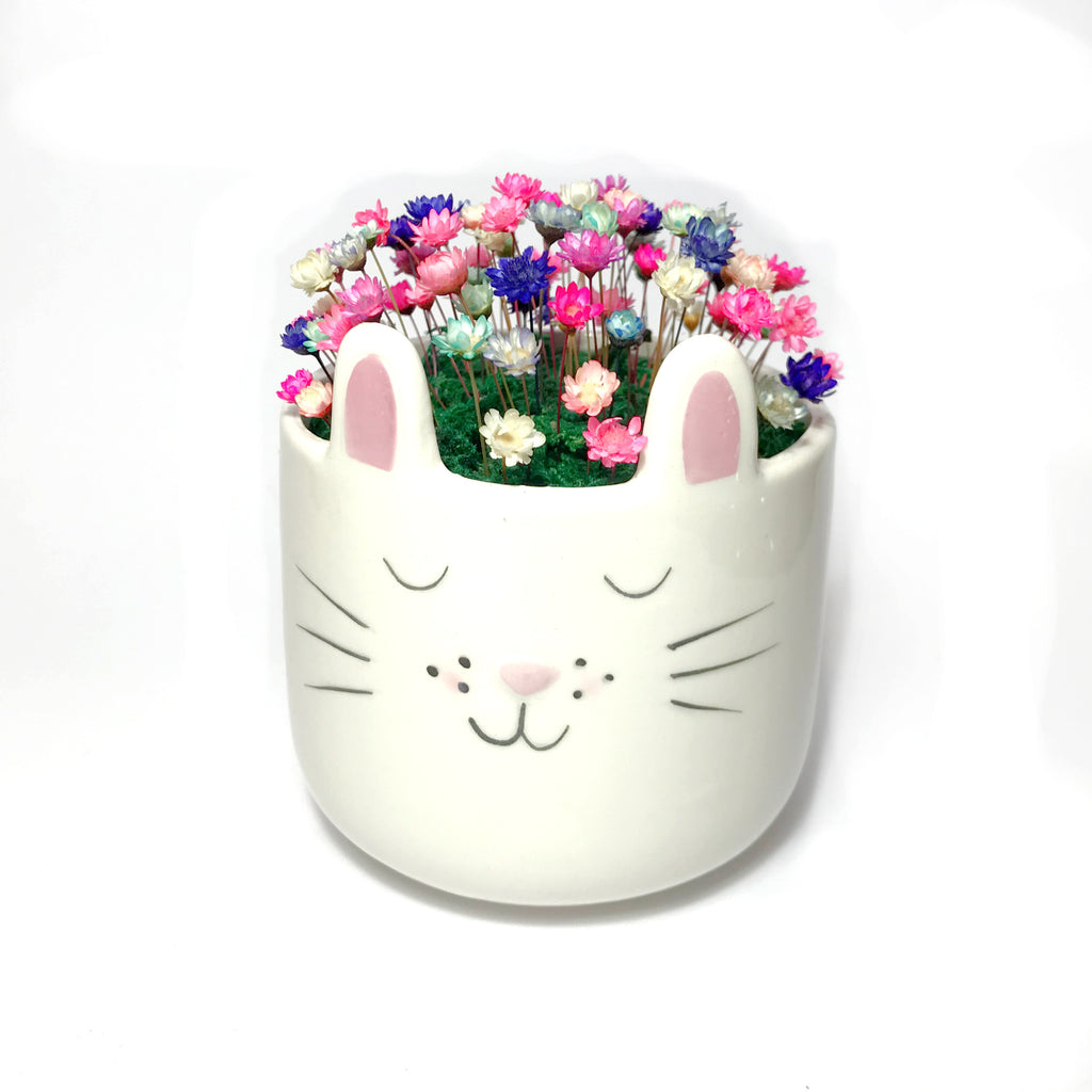 White Rabbit Planter Blooms