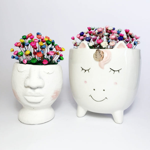 Head Planter
