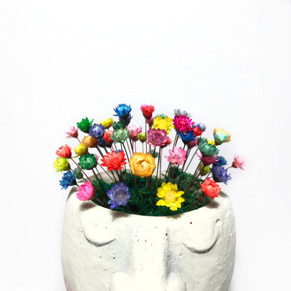Head Planter