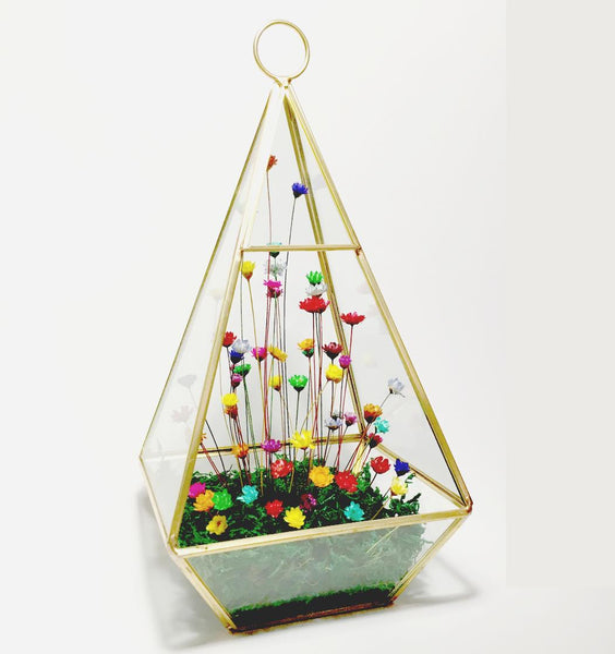 Imperfect Golden Terrarium