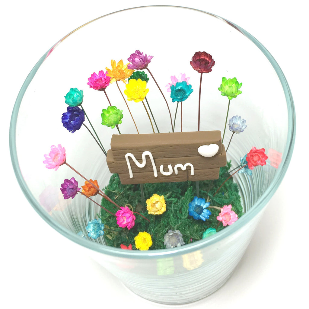 Mothers Day Bloom Sets