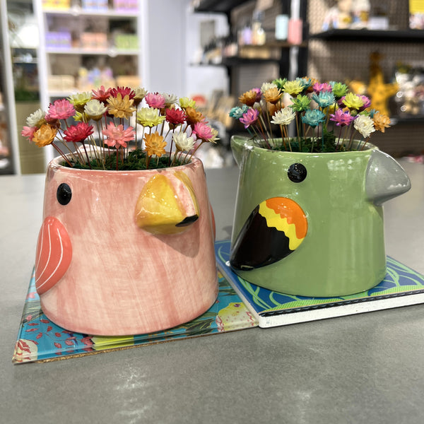 Birds - variety