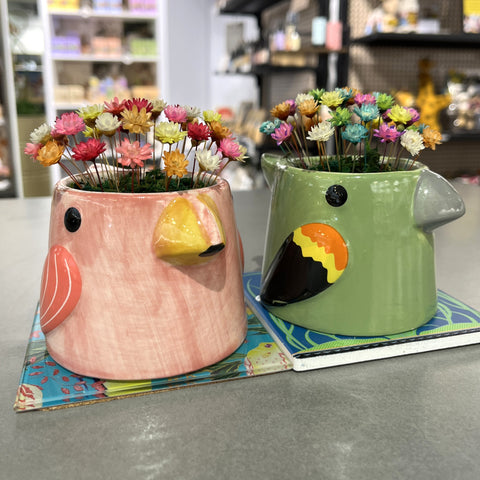 Birds - variety