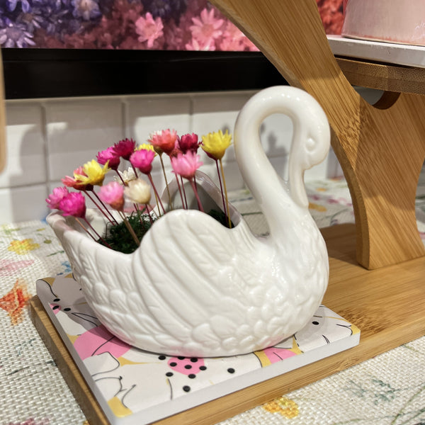 Swan