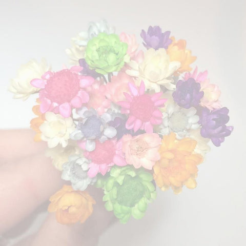 Custom Bloom for Aimee