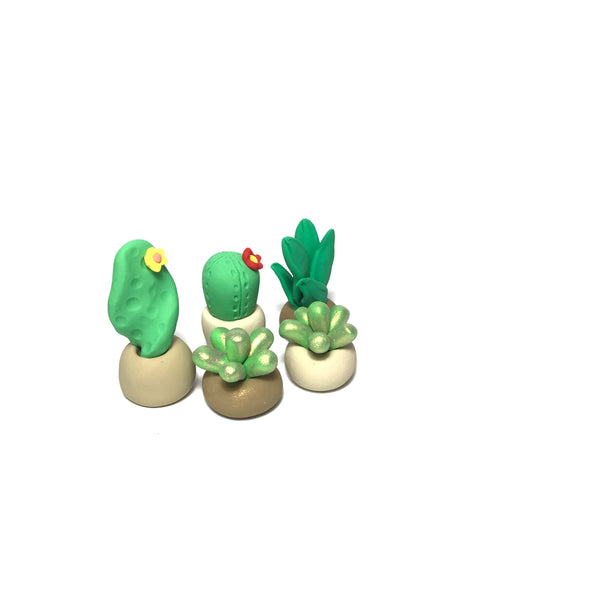Miniature Plant Variety