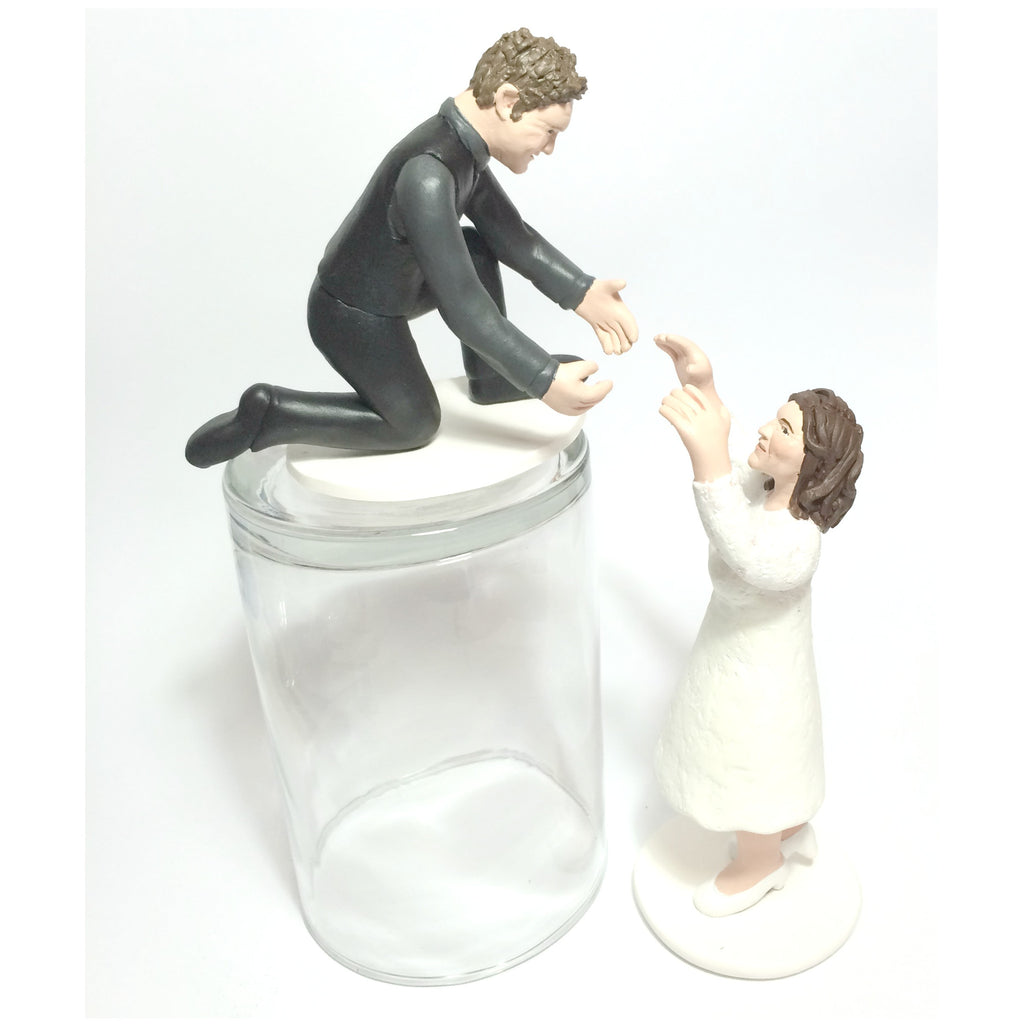 Bride and Groom Wedding Cake Topper With a Clear Plastic Swan - Etsy Canada