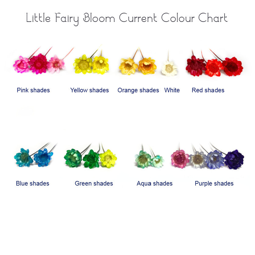 Little Fairy Bloom Colour Chart